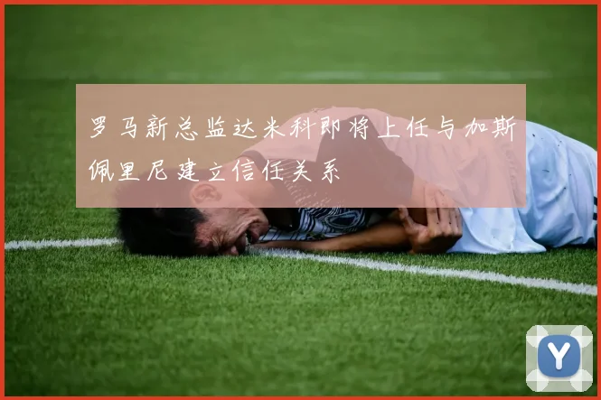 罗马新总监达米科即将上任与加斯佩里尼建立信任关系