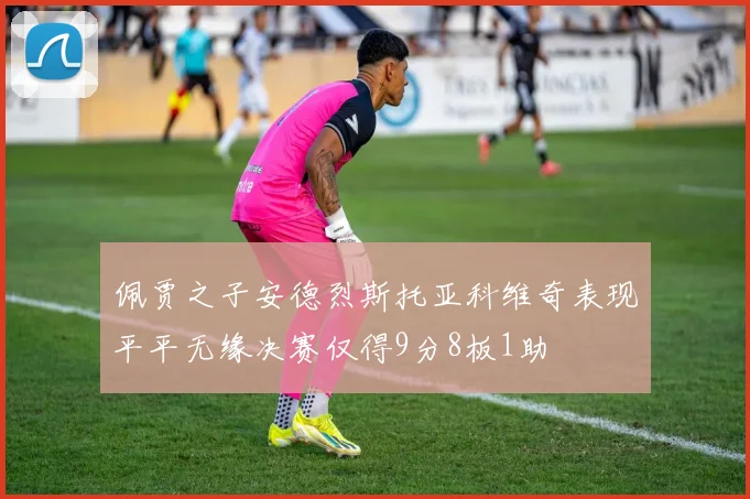 佩贾之子安德烈斯托亚科维奇表现平平无缘决赛仅得9分8板1助