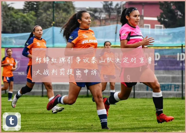 郑铮红牌引争议泰山队决定对京鲁大战判罚提出申诉
