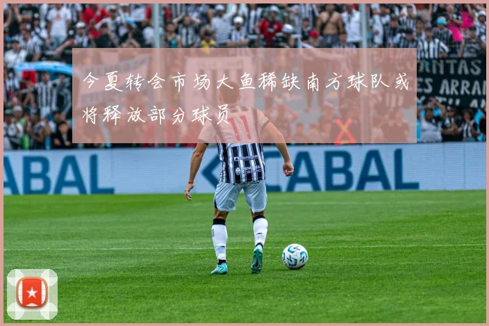 今夏转会市场大鱼稀缺南方球队或将释放部分球员