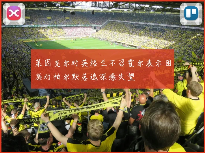 莱因克尔对英格兰不召霍尔表示困惑对帕尔默落选深感失望